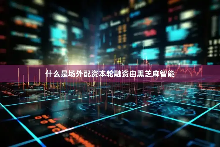 什么是场外配资本轮融资由黑芝麻智能