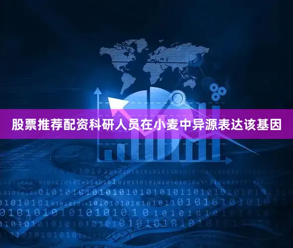 股票推荐配资科研人员在小麦中异源表达该基因