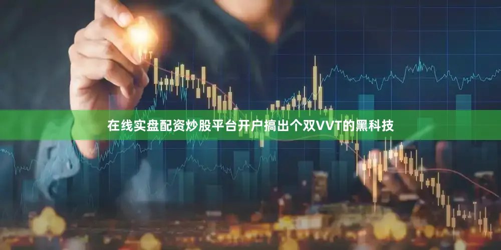 在线实盘配资炒股平台开户搞出个双VVT的黑科技