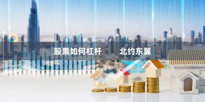 股票如何杠杆        北约东翼